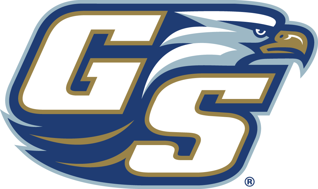 Georgia Southern Eagles 2004-Pres Alternate Logo v2 diy DTF decal sticker